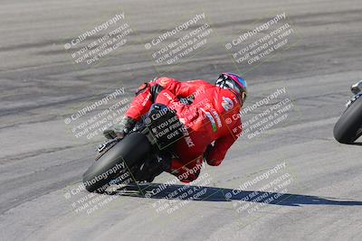 media/Feb-04-2024-SoCal Trackdays (Sun) [[91d6515b1d]]/4-Bowl Backside (11am)/